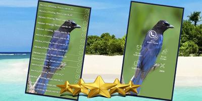 Bird Song of Malabar Whistling Thrush Sound imagem de tela 1