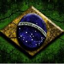 Salve o Brasil APK