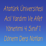 ATAUNİ AYAY 4A ikona