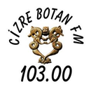 Cizre Botan Fm APK