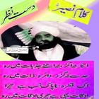 kalam peer naseer Dast e Nazer icon