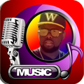 Maître Gims Songs