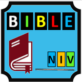 Study Bible NIV icon