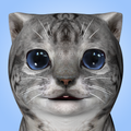 Cat Simulator