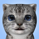 Cat Simulator APK