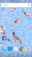 Koi Fish Live Wallpaper โปสเตอร์