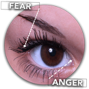 Face Lie Simulator Prank APK