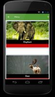 Animal World plakat