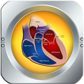 Heart -Your Dangerous Diseases And Care.