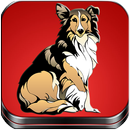 Dogs - Your Common Diseases And Symptoms-APK