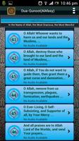Dua-Qunoot (LITE) AlAfasy скриншот 2