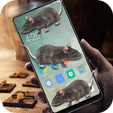 Mouse in phone prank أيقونة