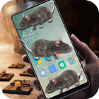 Mouse in phone prank ikona
