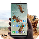 Ant in phone prank aplikacja