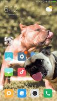 bulldog lick screen prank poster