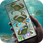 crab in phone prank icône