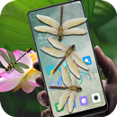 Dragonfly in phone prank aplikacja