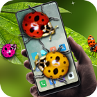 Ladybug in phone prank ikona