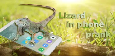 蜥蜴在手机爬行恶作剧