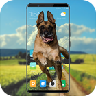 Shepherd dog in phone prank icône