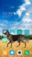 Shepherd dog in phone prank Affiche