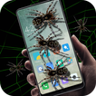 Spider in phone prank