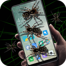 Spider in phone prank APK