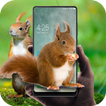 Squirrel in phone prank