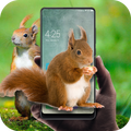 Squirrel in phone prank