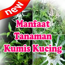 Manfaat Tanaman Kumis Kucing APK