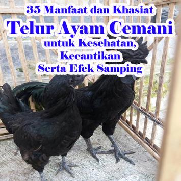 khasiat telur ayam cemani untuk