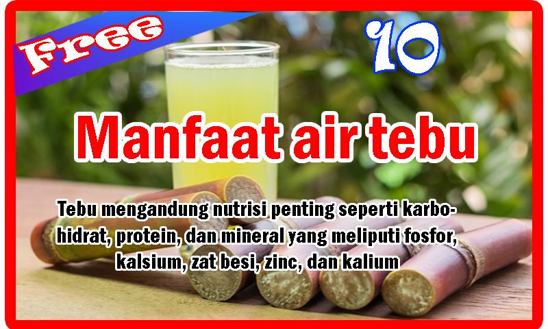 Manfaat Dan Khasiat Air Tebu Pdf