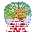 Manfaat Kelapa Kuning untuk Ibu Hamil-icoon