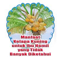 Manfaat Kelapa Kuning untuk Ibu Hamil پوسٹر