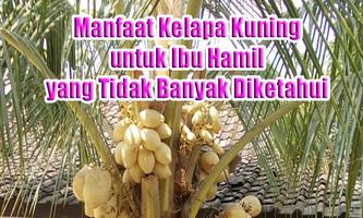 1 Schermata Manfaat Kelapa Kuning untuk Ibu Hamil