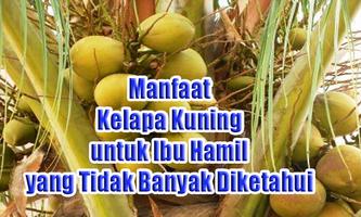 2 Schermata Manfaat Kelapa Kuning untuk Ibu Hamil