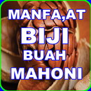 MANFAAT BIJI MAHONI APK