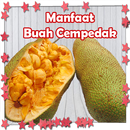 Manfaat Buah Cempedak Untuk Kesehatan APK