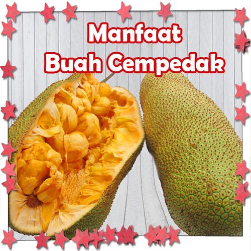 Manfaat Buah Cempedak For Android Apk Download
