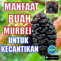 MANFAAT BUAH MURBEI UNTUK KECANTIKAN स्क्रीनशॉट 1