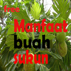 آیکون‌ manfaat buah sukun bagi Kesehatan Lengkap