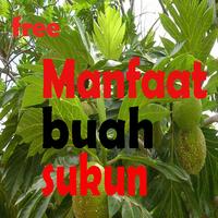 پوستر manfaat buah sukun bagi Kesehatan Lengkap