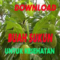 manfaat buah sukun bagi Kesehatan Lengkap স্ক্রিনশট 1