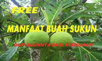 manfaat buah sukun bagi Kesehatan Lengkap 스크린샷 2