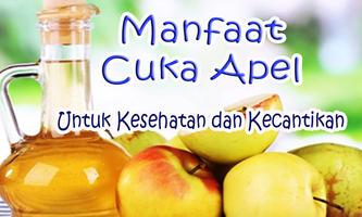 Manfaat Cuka Apel Untuk Kesehatan dan Kecantikan 截图 1