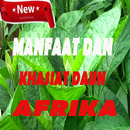 Manfaat dan khasiat daun afrika Lengkap APK