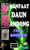 Manfaat Daun Andong poster