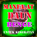 MANFAAT DAUN BENGLE LENGKAP APK