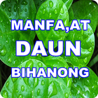 MANFAAT DAUN BINAHONG ไอคอน