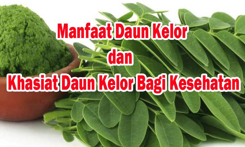  Gambar  Kartun Daun  Kelor  Gambar  Kartun